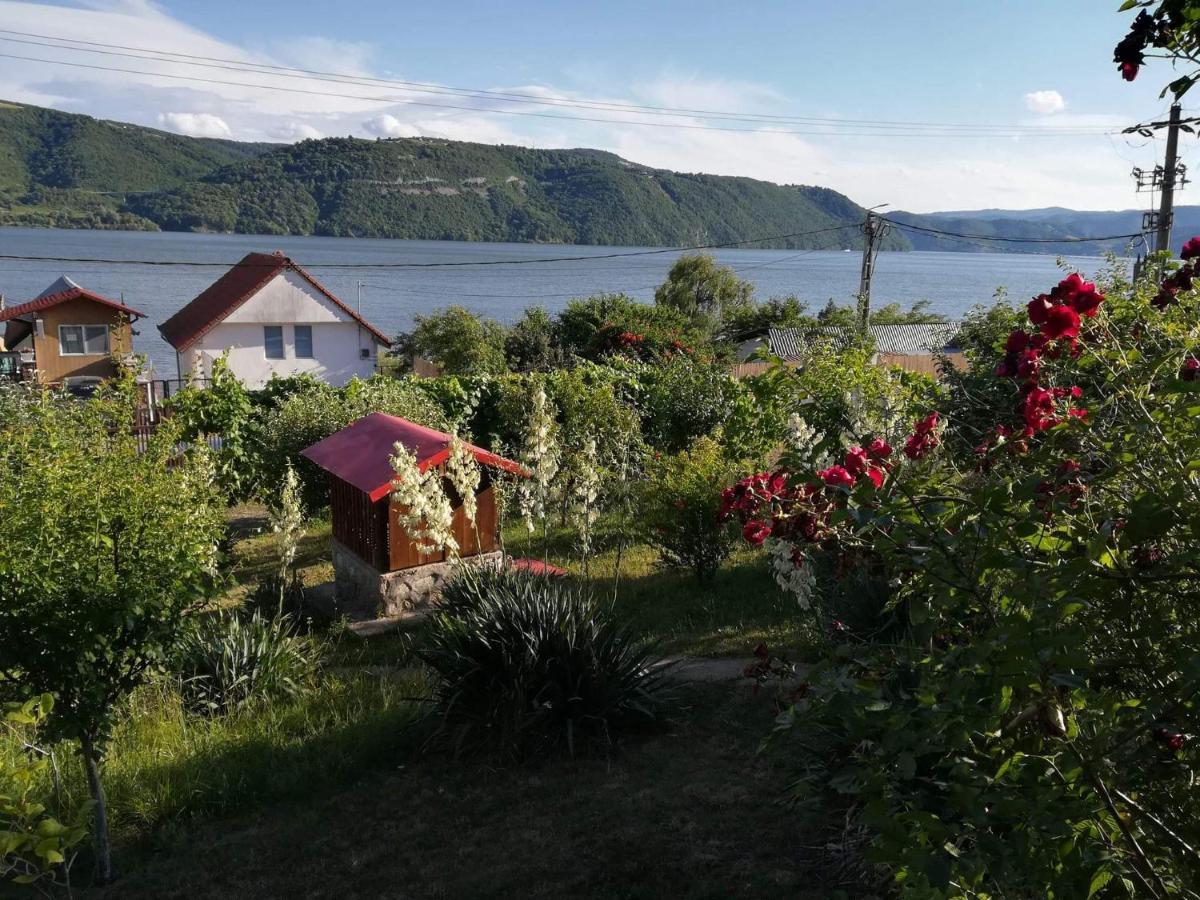 Casa Melania Villa Ieşelniţa Exterior foto