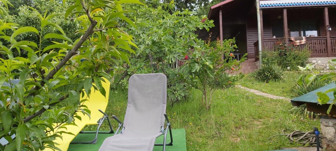 Casa Melania Villa Ieşelniţa Exterior foto